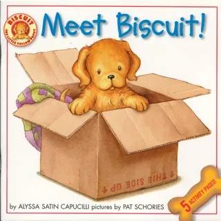 Biscuit系列-Meet Biscuit